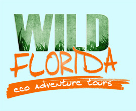 Wild Florida Eco Adventures Logo